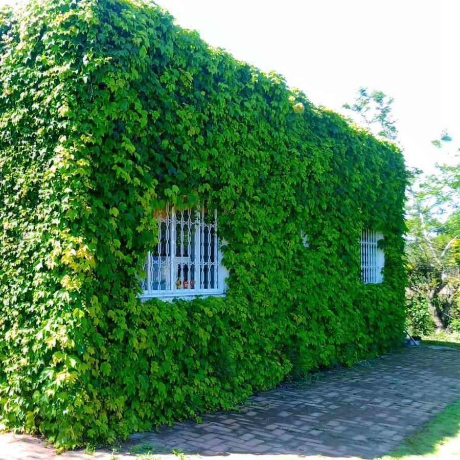 Ferienwohnung Sitio Sapiranga Exterior foto
